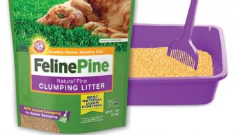 Feline pine litter outlet scoop