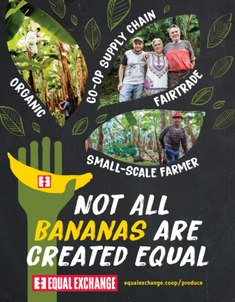 Order Equal Exchange Fair Trade Organic Bananas