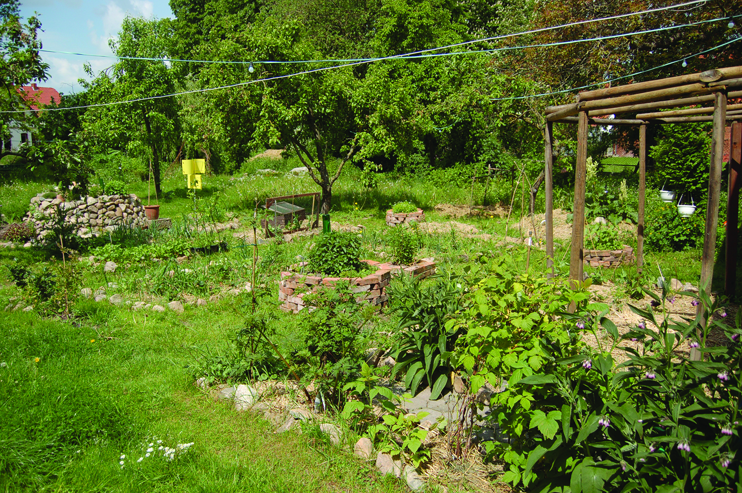 Featured image for “A Brief Intro to Permaculture”