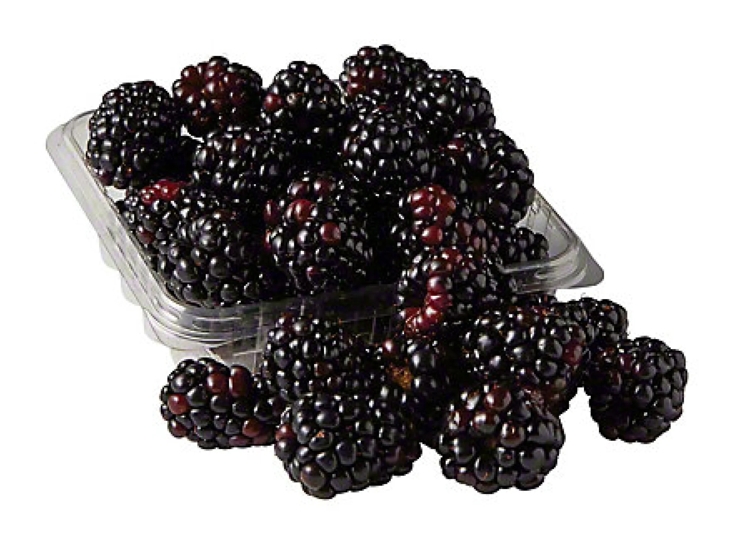 organic blackberries