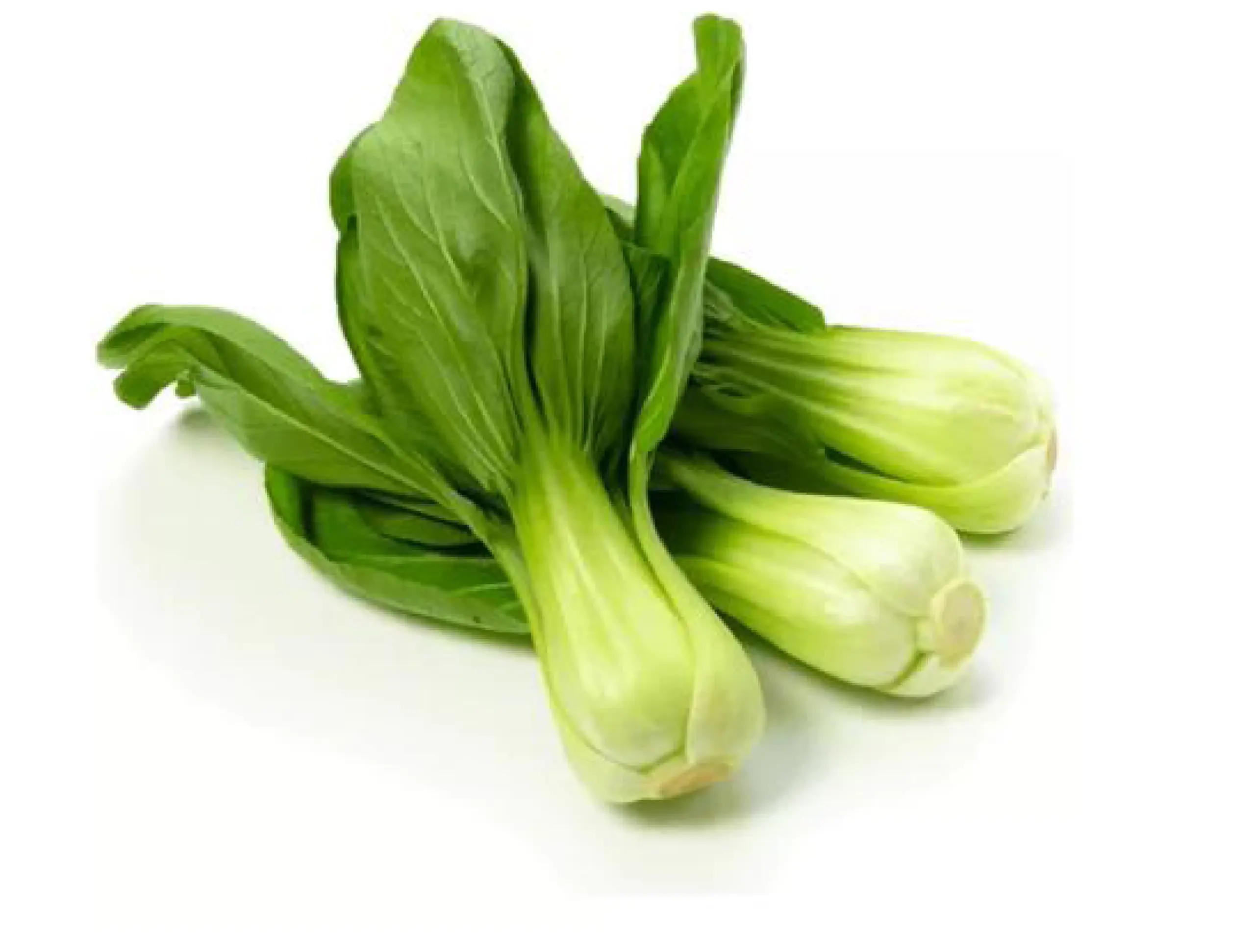 organic and local baby bok choi