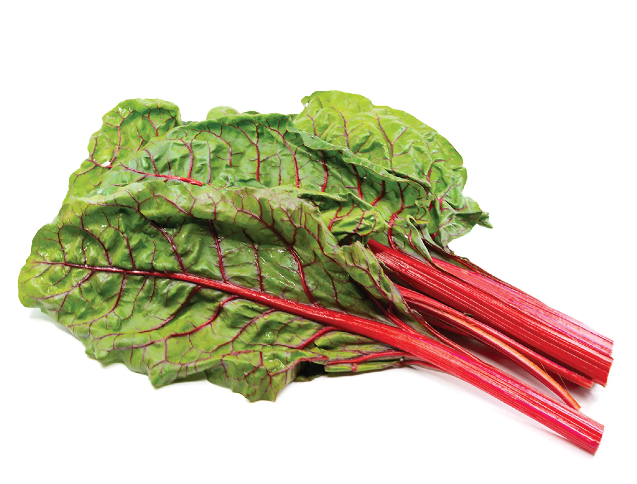 organic and local red chard
