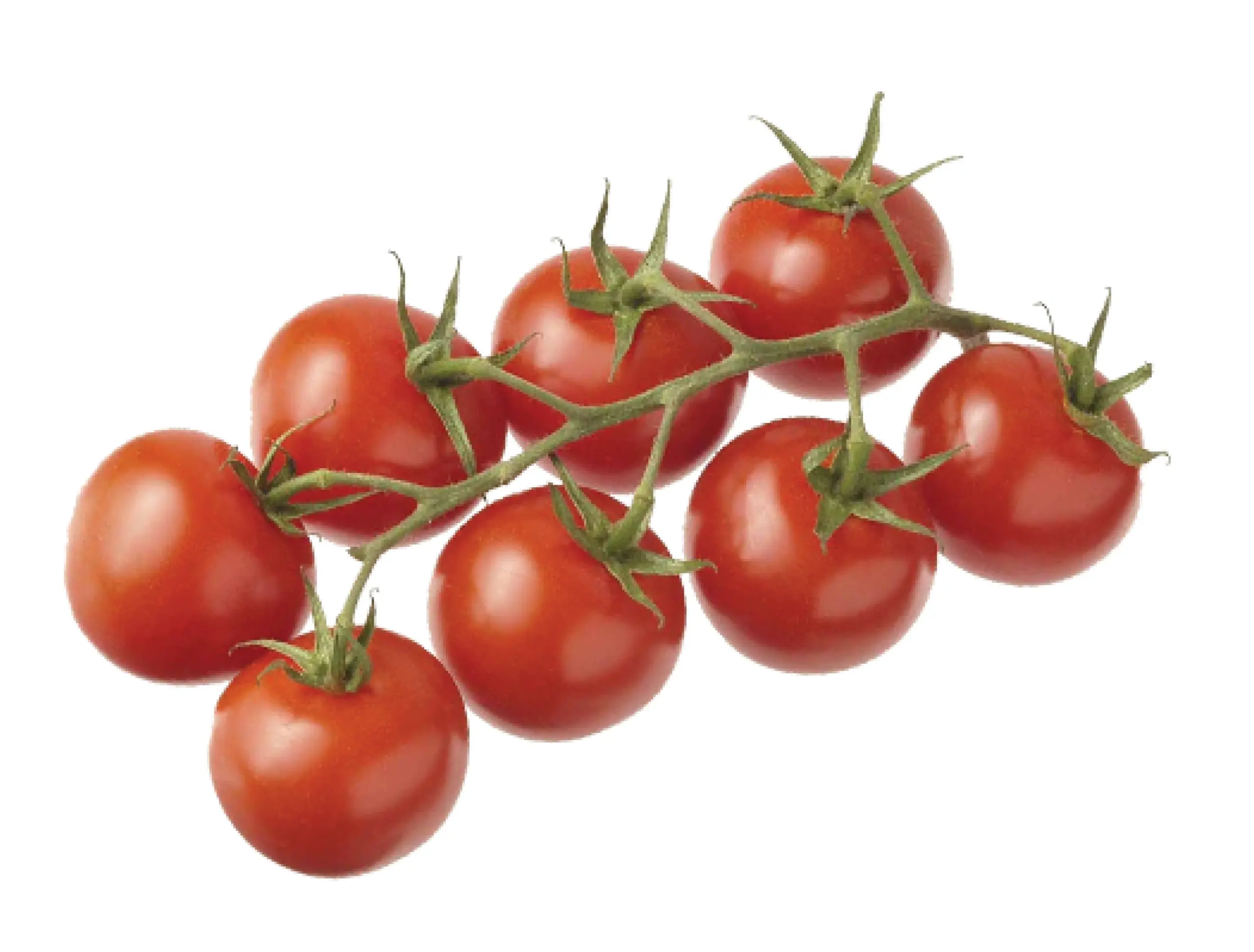 cocktail tomatoes on vine