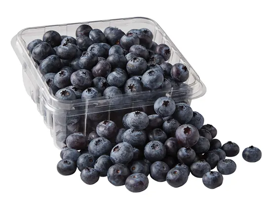 organic bluberries