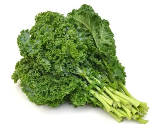 organic and local curly kale