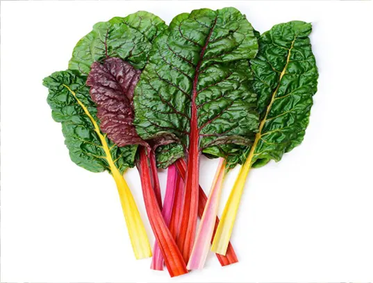 organic and local rainbow chard