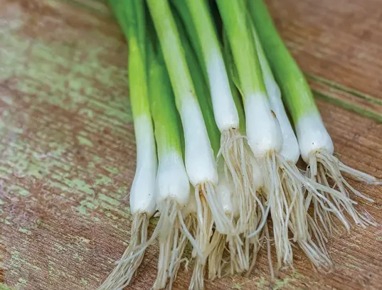 weavers way farm bunched onions