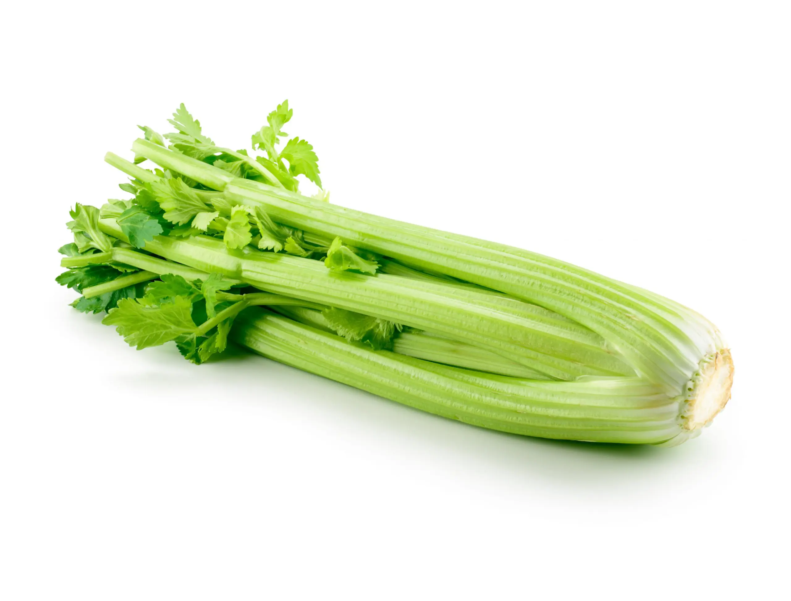organic celery