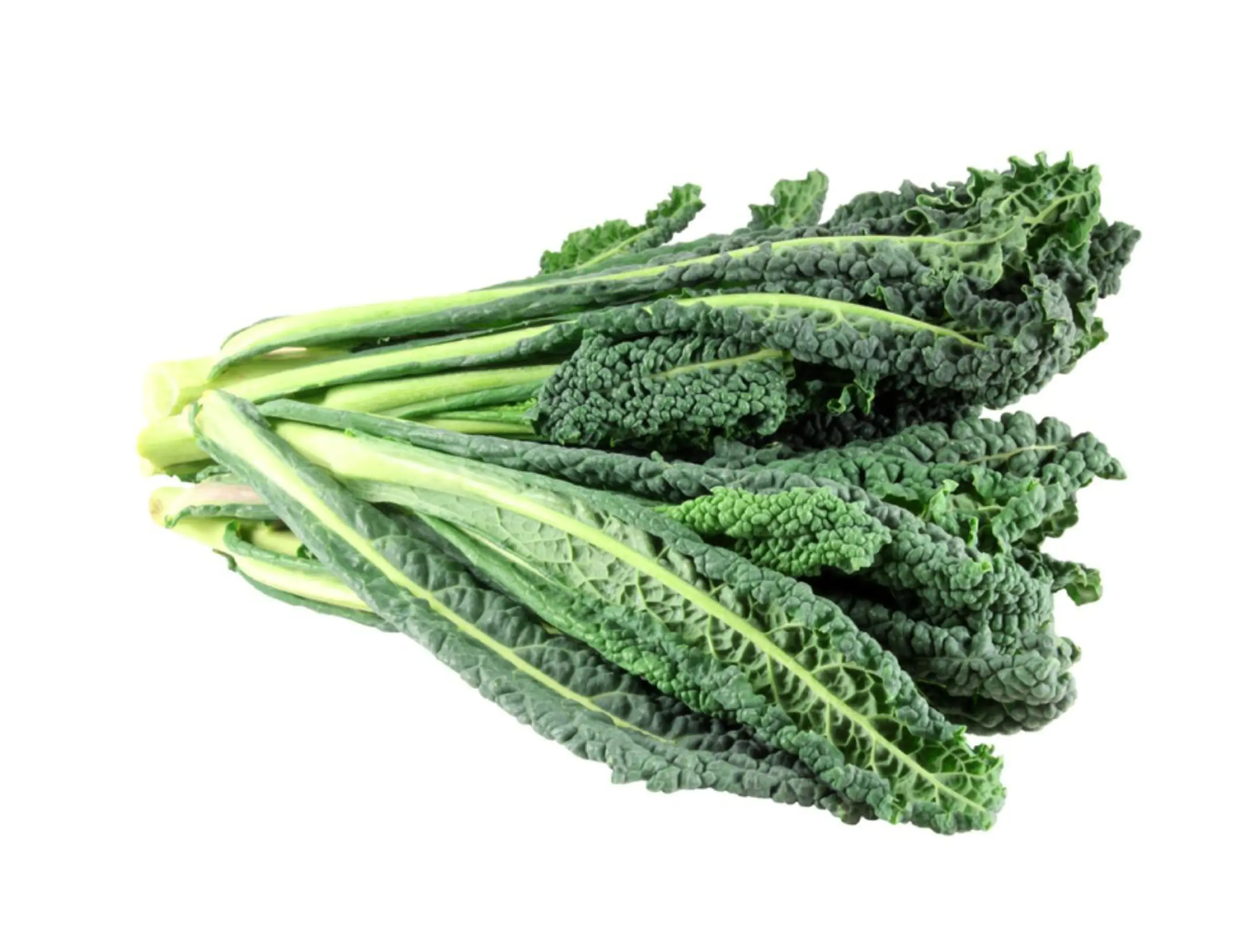 organic and local lacinato kale