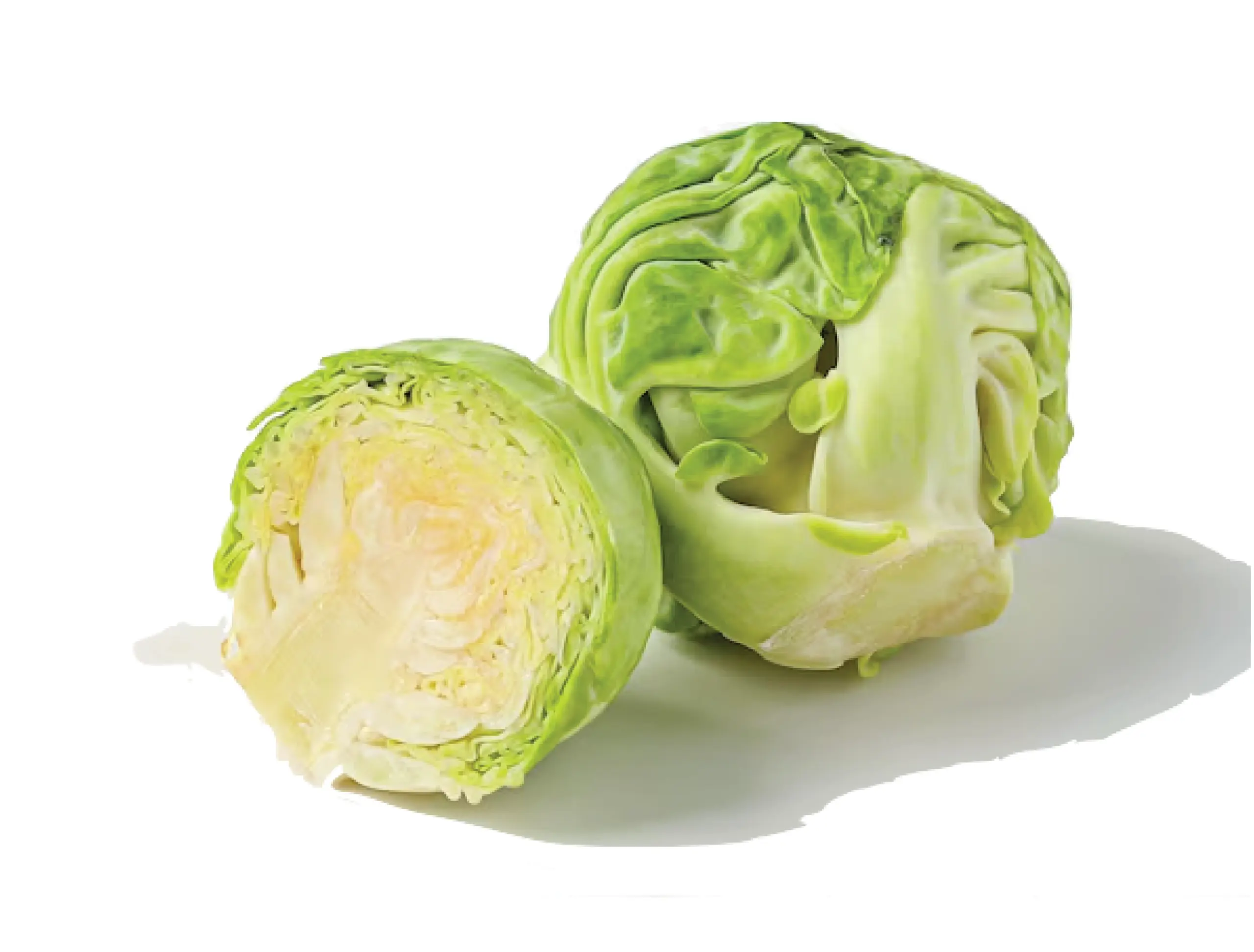 weavers way farm mini green cabbages