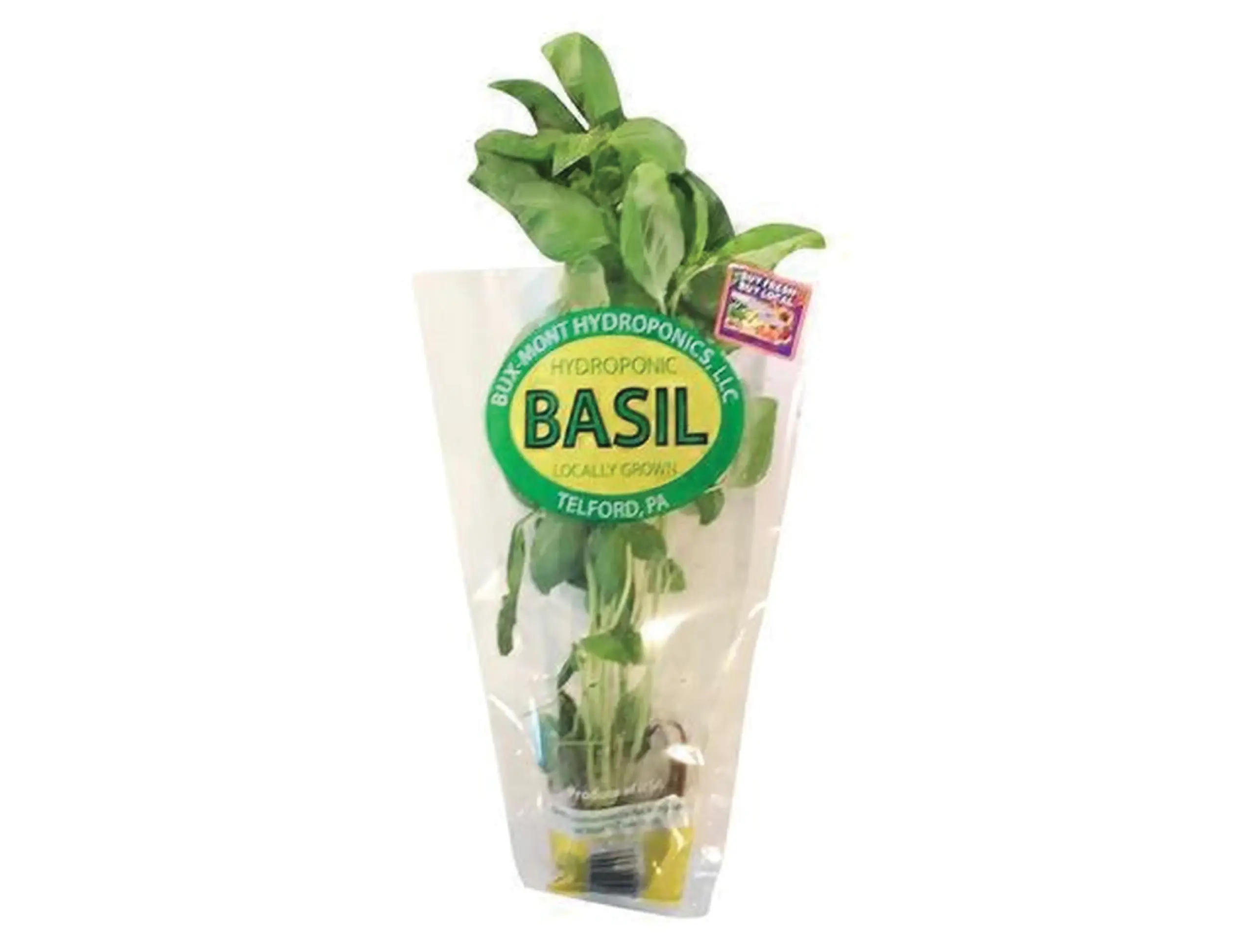 buxmont hydroponic basil