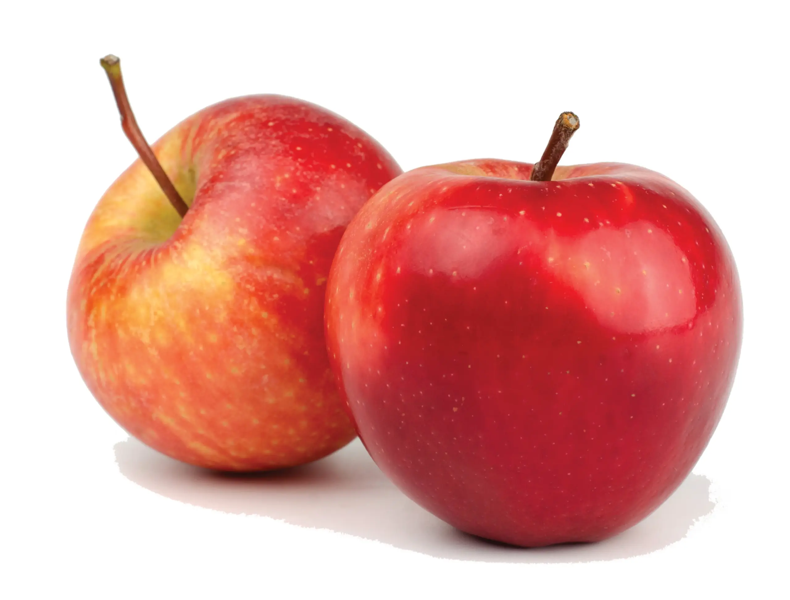 organic gala apples