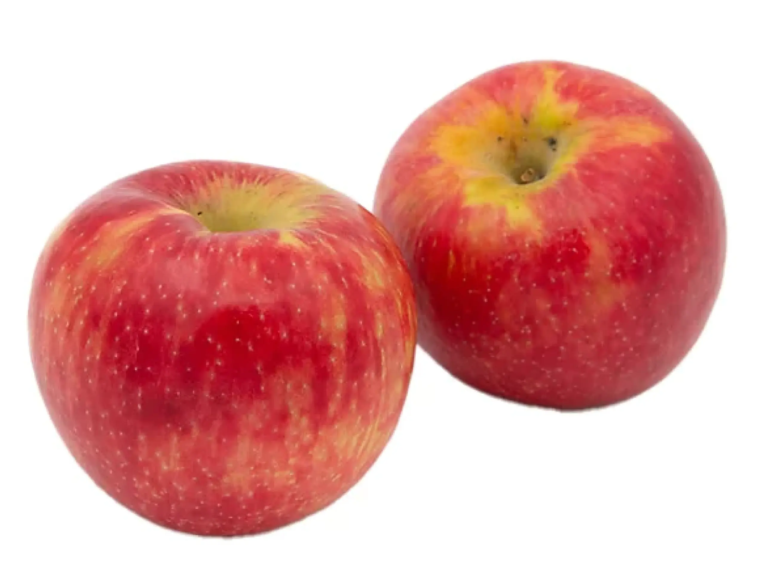 organic cosmic crisp apples