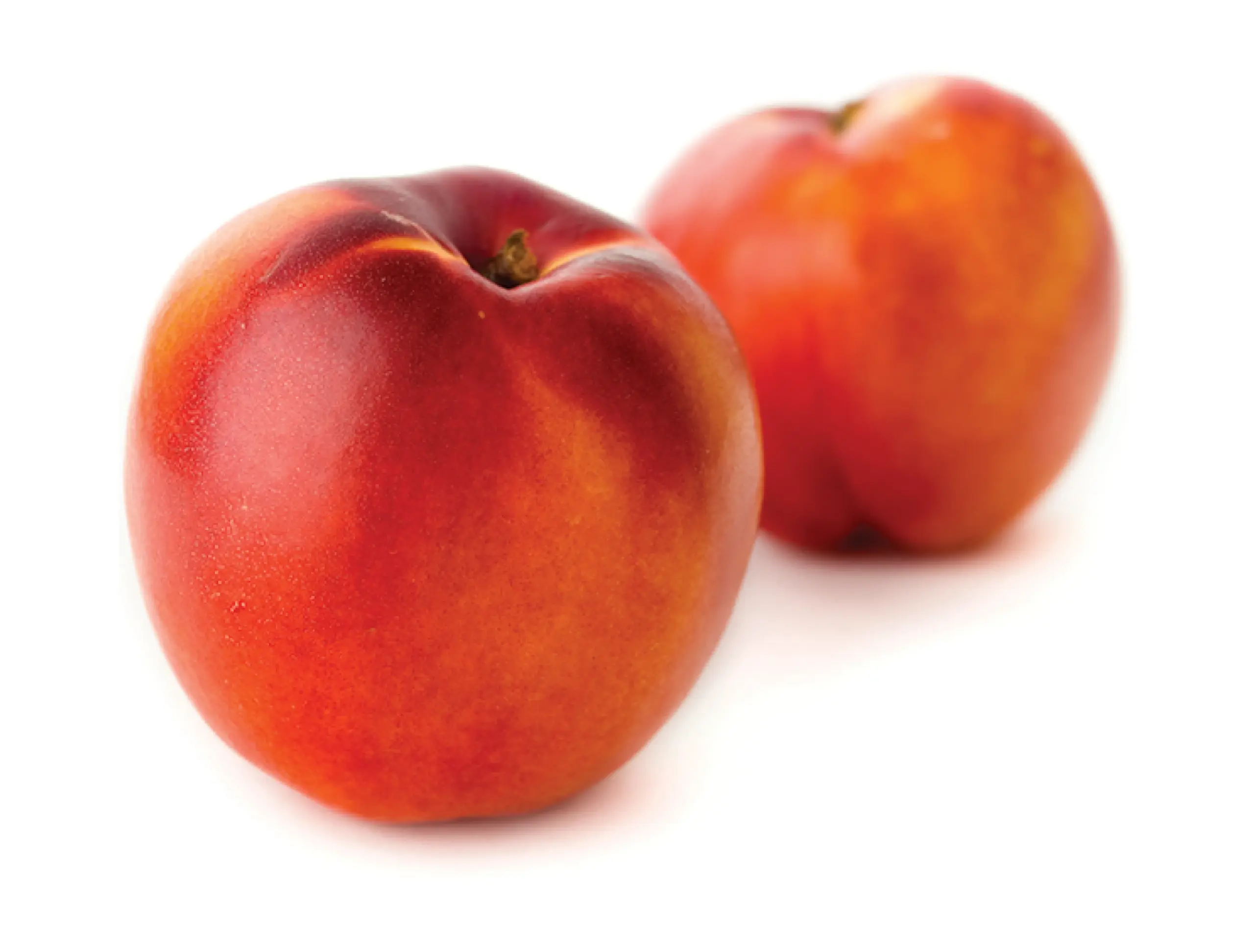 orangice yellow nectarines