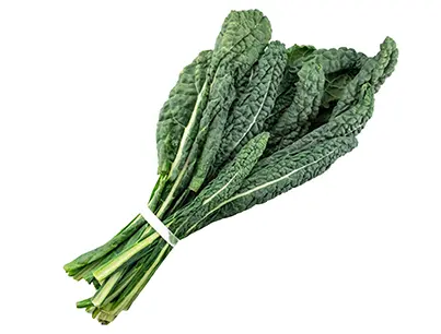 organic and local lacinato kale