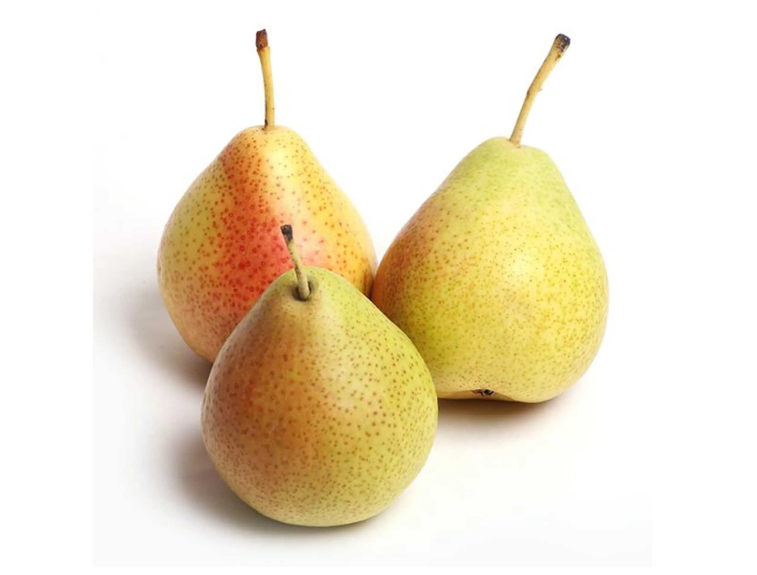 bartlett pears