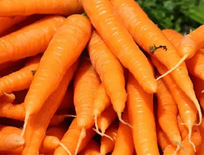 organic and local loose carrots