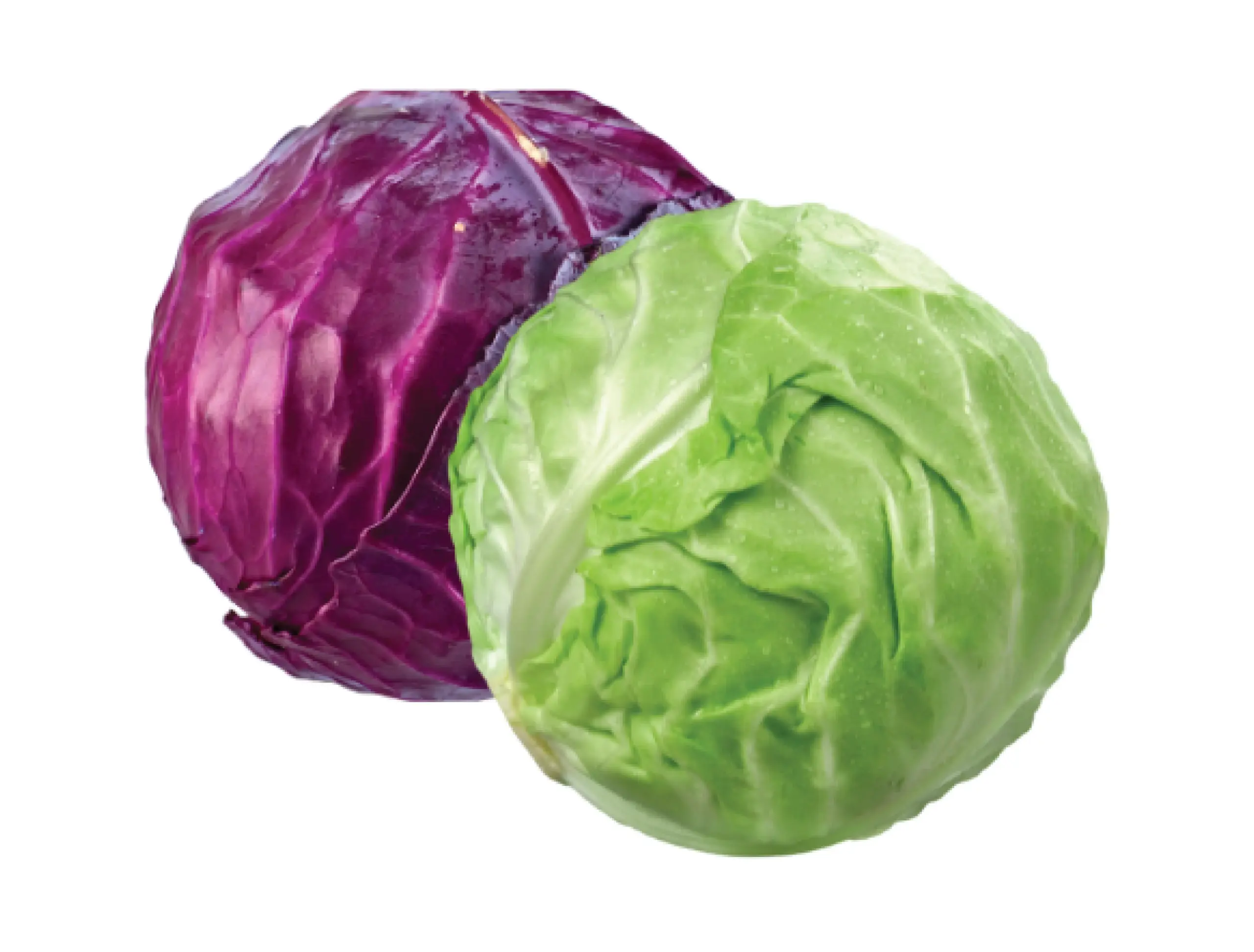 red and green cabbage