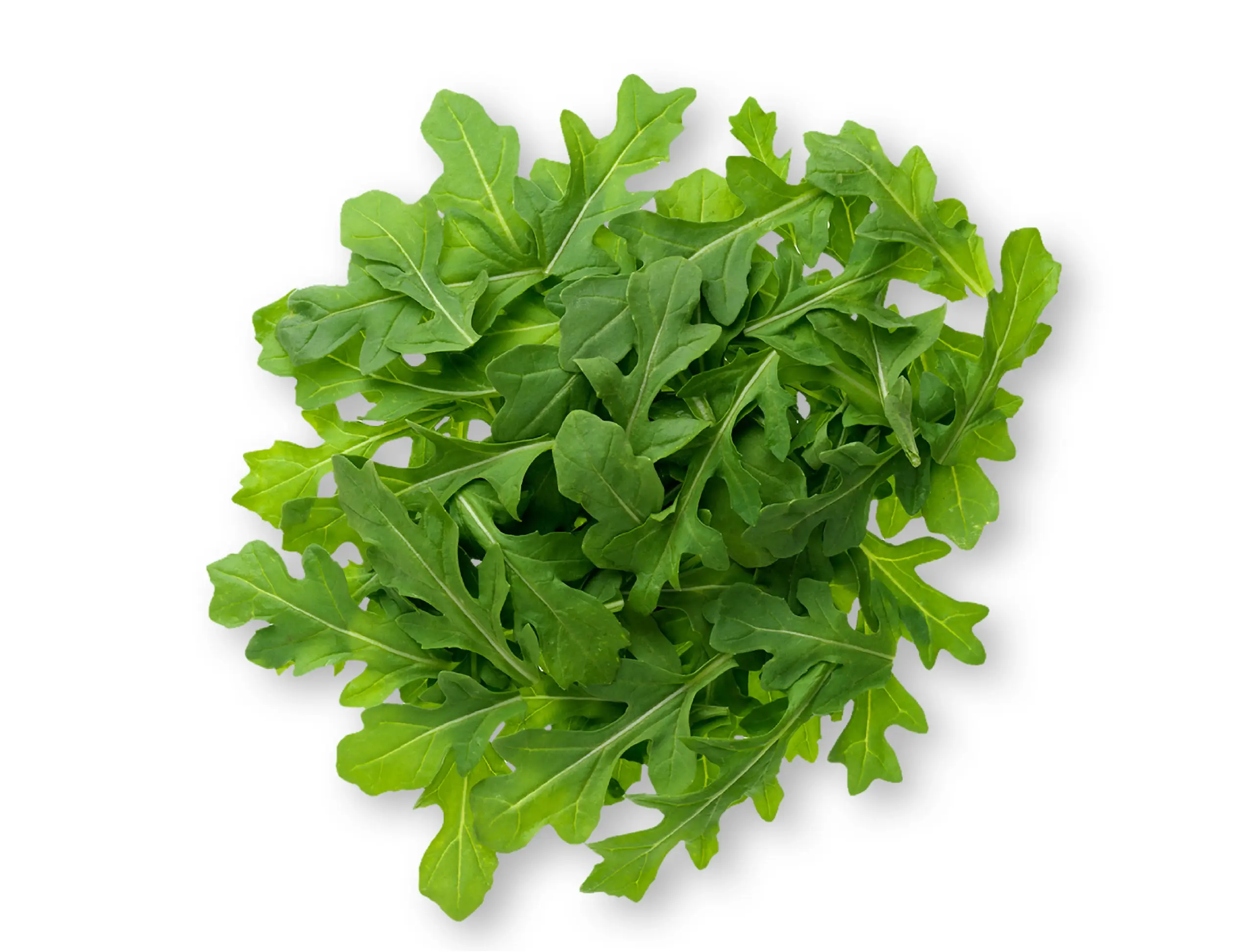 weavers way farms arugula