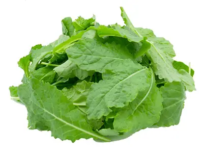 weavers way farms baby kale