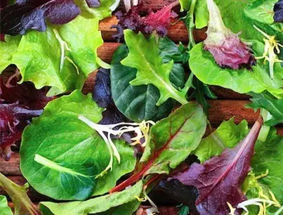 weavers way farms spicy mix