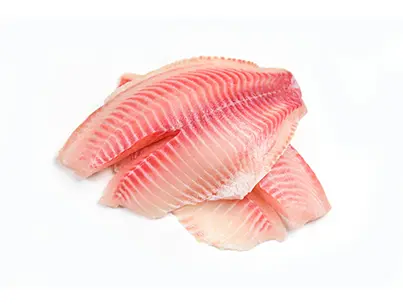 tilapia