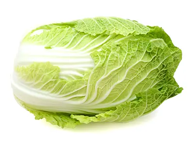 organic green napa cabbage