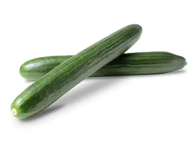 organic euro cucumber