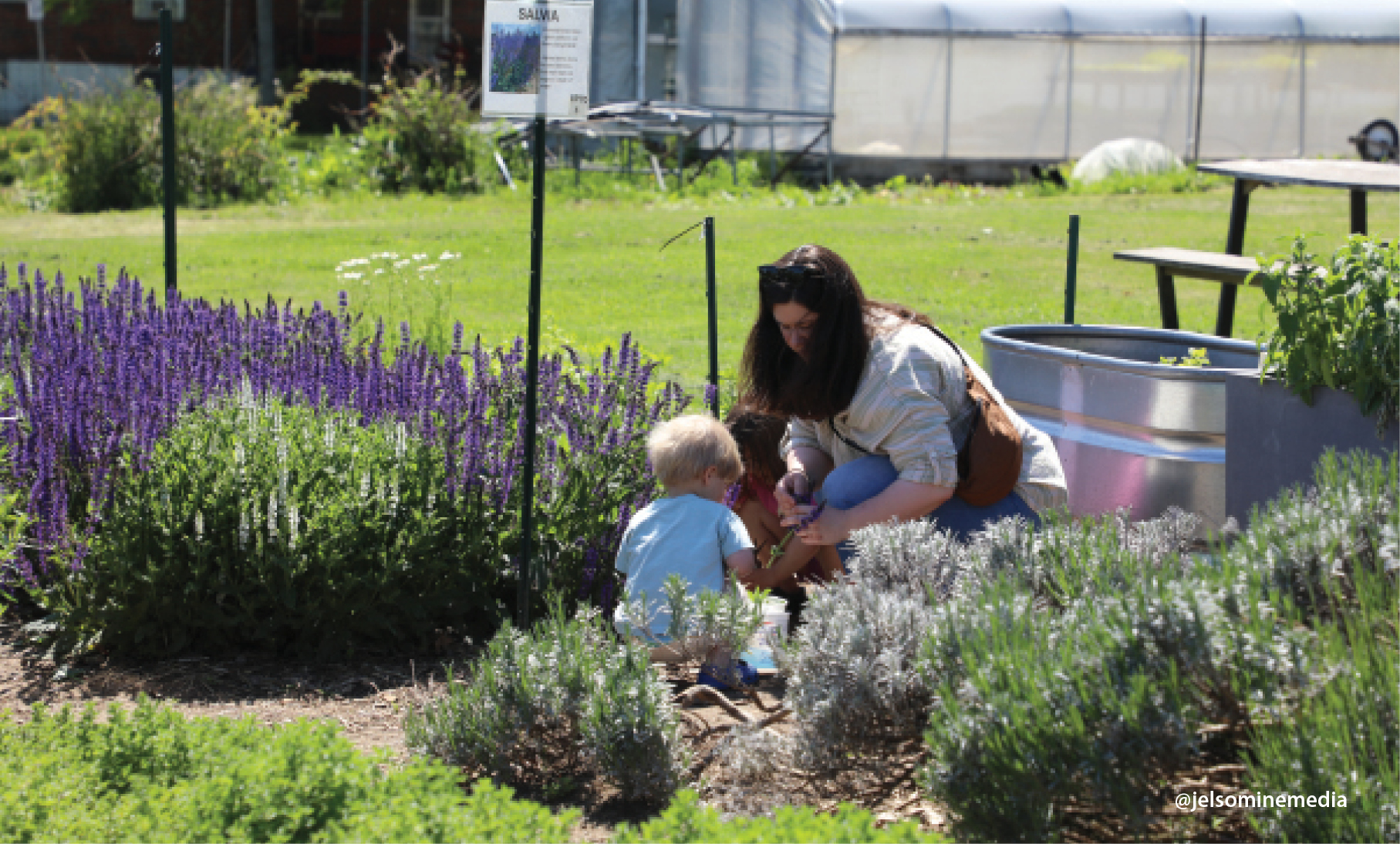 Mother and two toddlers crouching in a field of lavender next to steel bin with a greenhouse in the background